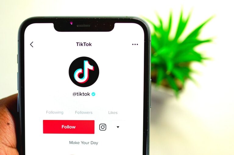 influenceur TikTok